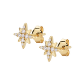 Illume 14K Gold Diamond Star Stud Earrings