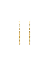 Shine Gold Chain Earring