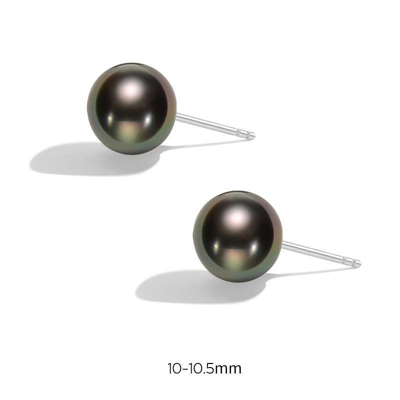 Tahitian Pearl Earrings 10-13mm