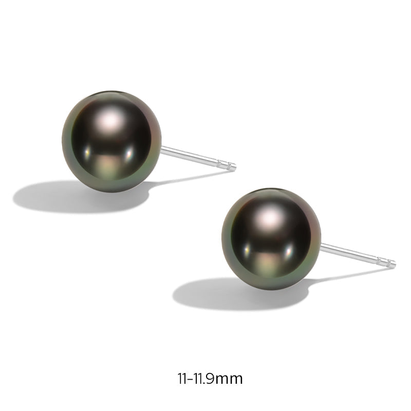 Tahitian Pearl Earrings 10-13mm