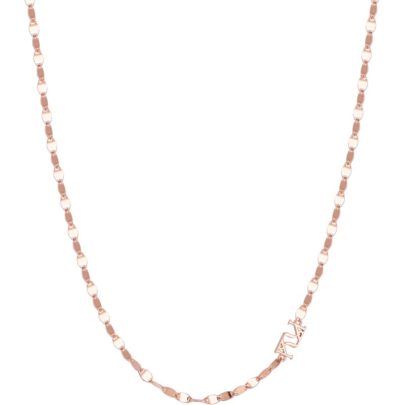 Shine Collection - 18K Gold Chain Choker (Rose Gold)